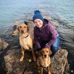 Profile Picture of Nikki Slabinski (@adventures_of_huckleberry_ven) on Instagram