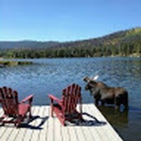 Profile Picture of Tony Mazzarella (@tony-mazzarella-7) on Quora