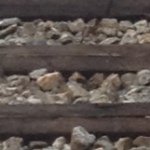 Profile Picture of bryceharmon (@bryceharmon) on Instagram