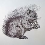 Profile Picture of A.R. Design (@aimee_riggs_design) on Instagram