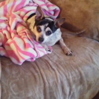 Profile Picture of Cindy Colbert (@cindy.colbert.568) on Facebook
