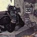 Profile Picture of Jon Talbain (@hsuhanlin) on Pinterest