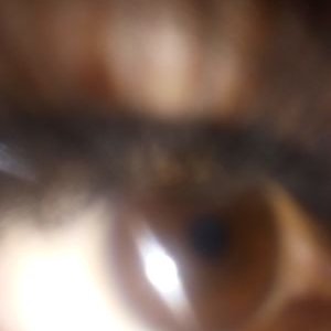 Profile Picture of Lupe Macias (@LupeMac94317646) on Twitter
