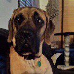 Profile Picture of Kevin Lunsford (@kevin19174) on Instagram