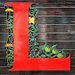 Profile Picture of Lynette Pingree (@lynettepingree) on Pinterest