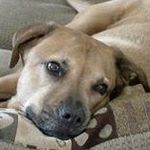 Profile Picture of John Voiles (@jovo1970) on Instagram