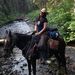 Profile Picture of Stephanie Furlong (@hislovechicken) on Pinterest