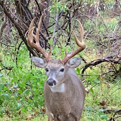 Profile Picture of Jeff Dahl (@jeffdahl3061) on Youtube