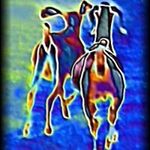 Profile Picture of Deborah Danek Emholtz (@jacobspride) on Instagram