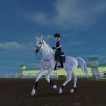 Profile Picture of Robert Wańkowski (@rober.tequestrian) on Instagram