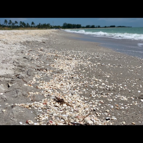 Profile Picture of Pedro Colon (@pedritouh) on Poshmark