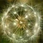 Profile Picture of Maria (@mariajowhetstone) on Instagram