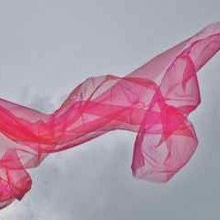 Profile Picture of Sonja Schwab (@tuletraining) on Twitter