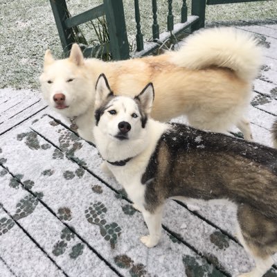 Profile Picture of Jo Ann Petroff (@joannpetroff) on Twitter