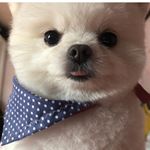 Profile Picture of Vitaming (@ki_m_ing) on Instagram