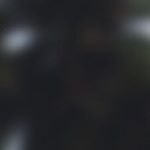 Profile Picture of Jonathan Gormon Dennis (@jonathan_gormon_dennis) on Instagram