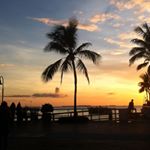 Isabelle Hamel - Instagram Profile Picture of Isabelle Hamel (@isabelle.hamel.524) on Instagram