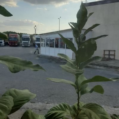 Profile Picture of Şişman Adam (@imanAda69920738) on Twitter