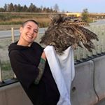 Profile Picture of Roberta Watt (@regalscavenger) on Instagram