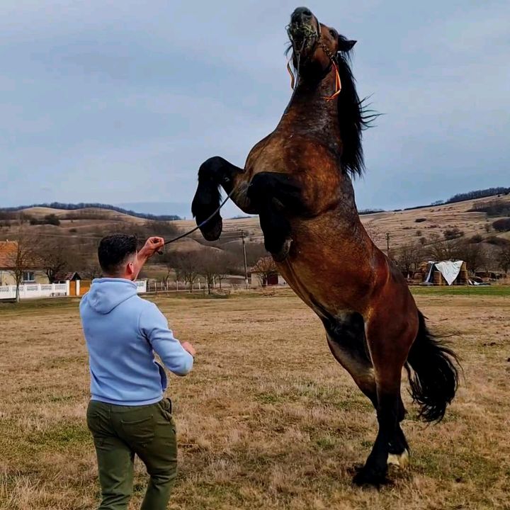 Profile Picture of Daniel Burnete (@@danielburnete02) on Tiktok