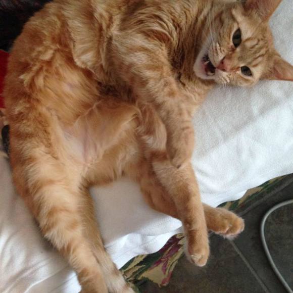 Profile Picture of Frank Olinsky (@flynnjazz) on Poshmark