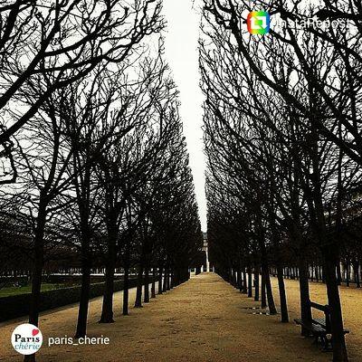 Profile Picture of Alicesalcedo (@alice_lift) on Twitter