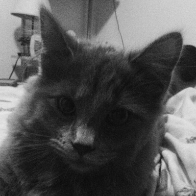 Profile Picture of Seth Harvey (@sethharvey) on Tiktok