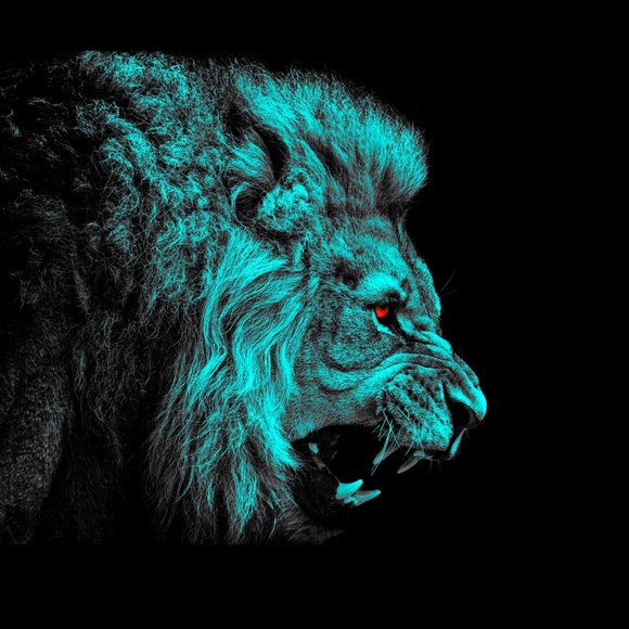 Profile Picture of Anthony Capellan (@capellan26) on Poshmark