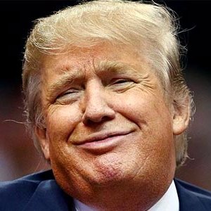 Profile Picture of Translate Trump (@TranslateRealDT) on Twitter