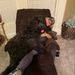 Profile Picture of Krystal Holmes (@kryslane) on Pinterest