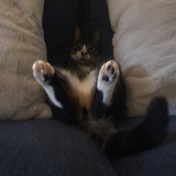 Profile Picture of Ava Azinger (@ava_azinger) on Poshmark