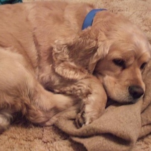 Profile Picture of David Stoneburner (@stoneb173) on Myspace