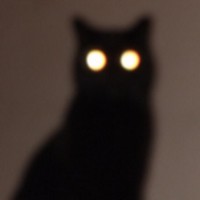 Profile Picture of Rafał Zakrzewski (@rafał-zakrzewski) on Quora