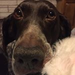 Profile Picture of Craig Merrill (@12cmerrill) on Instagram