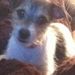 Profile Picture of Nancy Fikes (@peachykeen479) on Pinterest