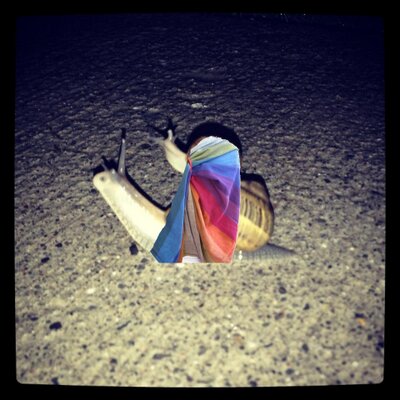 Connie McKenney - Twitter Profile Picture of Connie McKenney (@twodragonsmama) on Twitter