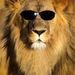 Profile Picture of mario conte (@mariocontetv) on Pinterest