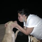 Profile Picture of Lisa Jo Piscitelli (@lisajopiscitelli) on Instagram