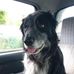 Profile Picture of Phillip Rudd (@phillip.rudd.50) on Facebook