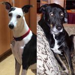 Profile Picture of Michael J. Chupa (@michael.j.chupa) on Facebook