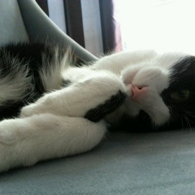 Profile Picture of Brian Ford Sullivan (@briforsul) on Twitter