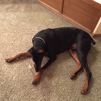 Profile Picture of Jeremy Marcotte (@john3_16_) on Twitter