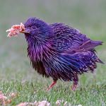 Profile Picture of Kevin Wood (@woodkevin500) on Flickr