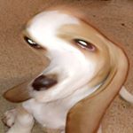 Profile Picture of Harmon Taylor (@charmon69harmon) on Instagram