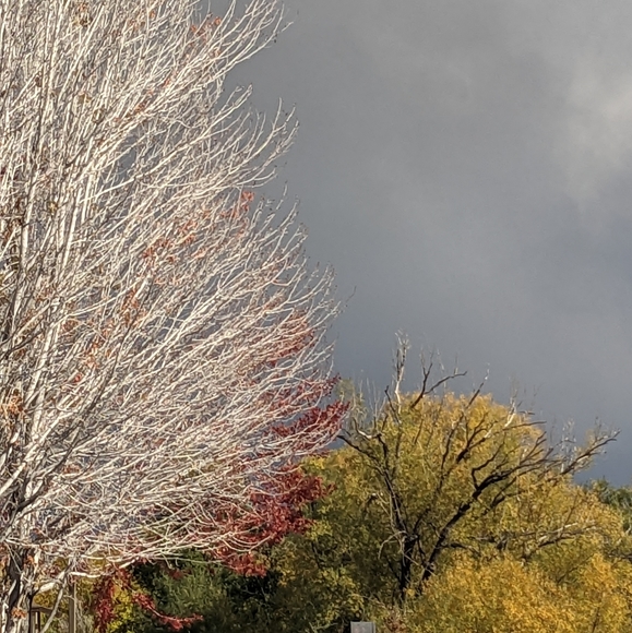 Profile Picture of Sharon ⭐ Haley (@pntszhaley) on Poshmark