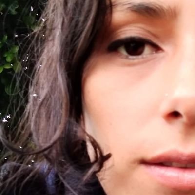Profile Picture of JESSICA ISABEL HERMOSILLA LILLO (@jessicaHrmslla) on Twitter