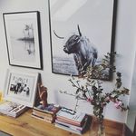 Profile Picture of Kristina Cappucci (@justanotherprettyhome) on Instagram
