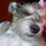 Profile Picture of Lizeth Fernanda Ocampo Gonzalez (@lizeth ocampo gonzalez) on Flickr