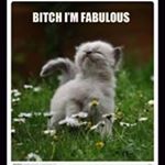 Profile Picture of Jerri Kirby (@__biteme1) on Instagram