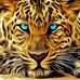 Profile Picture of Michael Barreth (@danny.jacho.7) on Facebook